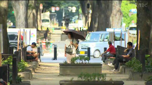 仙台市中心部でアート楽しむイベント始まる　仙台は今年12日目の猛暑日で最多更新|TBS NEWS DIG