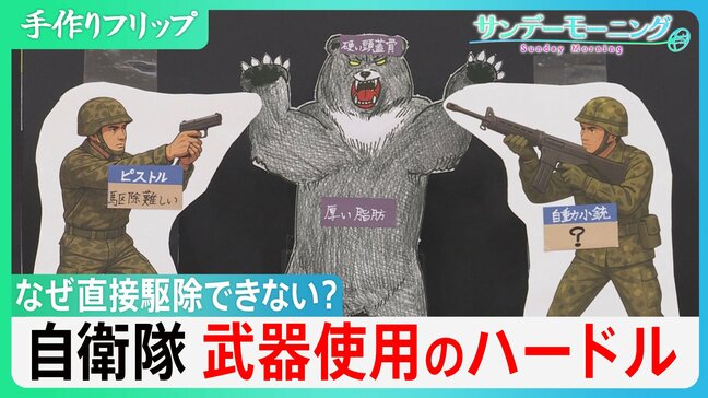 クマ被害「過去最悪」で自衛隊派遣も…なぜ直接駆除せず？立ちはだかる“法的根拠”と“装備の検討” 今回の出動は「民生支援」に【サンデーモーニング】|TBS NEWS DIG