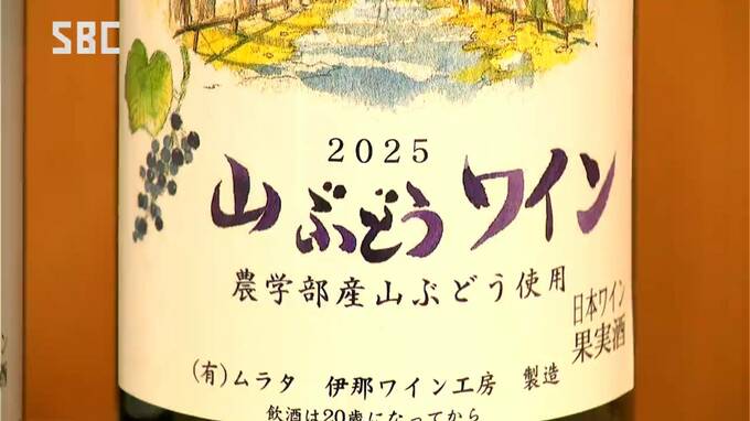 「フルーティーで飲みやすい」信州大学農学部でヤマブドウのワイン販売　学生が実習で栽培　フルボトルで1本2200円　長野・南箕輪村　|　SBC NEWS | 長野のニュース | SBC信越放送