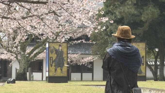 もう4月も中旬ですが…サクラはまだ間に合う！？　松江城山公園　一部葉桜でも花びらの絨毯　|　BSSニュース | BSS山陰放送