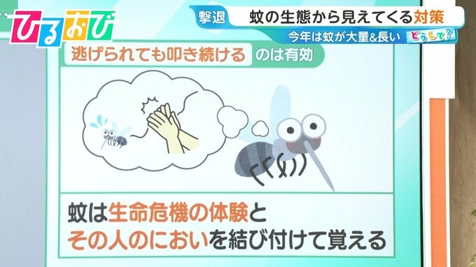 「蚊」は叩いた人のニオイを24時間記憶！？蚊が入りにくい“窓の開け方”は？今年は“当たり年” 多い＆しつこい蚊の対策を研究者に聞く【ひるおび】|TBS NEWS DIG