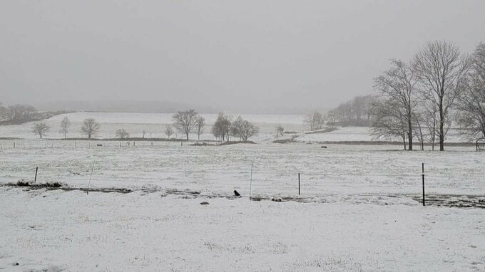 【GWに雪景色】北海道枝幸町は銀世界に　5日朝までの24時間降雪予想…宗谷・紋別地方で20～25㎝、中頓別町・枝幸町・雄武町付近は平地でも積雪か《気象庁最新シミュレーション》|TBS NEWS DIG