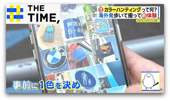 SNSで急増！歩いて撮る「カラーハンティング」とは？【THE TIME,】 |TBS NEWS DIG