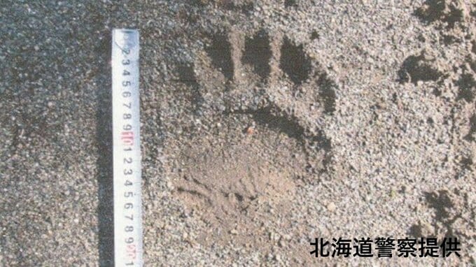中学校のグラウンドを通過するようなクマの足跡…幅は約15センチ　３日まで体育の授業などグラウンド使った活動を取り止めへ　北海道芽室町　|　北海道のニュース｜HBC北海道放送