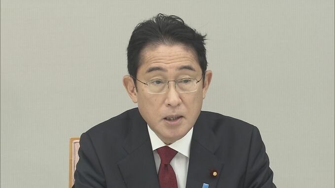 アナログ規制・約１万件の見直し工程表まとまる　デジタル臨調|TBS NEWS DIG