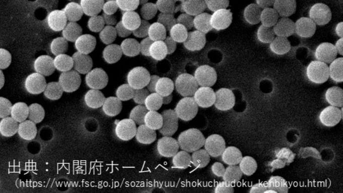 【食中毒】6月29日に提供されたおにぎりを食べた9人に症状　“黄色ブドウ球菌”による食中毒と断定　倉敷市保健所【岡山】|TBS NEWS DIG