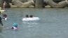 お盆を過ぎたのに、海水浴場に今年はクラゲが少ない…なぜ？　　|　BSSニュース | BSS山陰放送