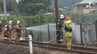 「煙が見える」大井川鉄道線路沿いの少なくとも3カ所で枯れ草燃える 大井川本線運転見合わせ＝静岡　|　静岡のニュース | SBSNEWS | 静岡放送