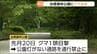 前日に通行禁止解除したばかりの台原森林公園でまたクマ目撃される　仙台　|　宮城のニュース│tbc NEWS│tbc東北放送