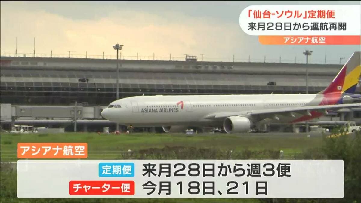 ラストレア 韓国アシアナ航空 119 first in last out CA ラストレア 韓国アシアナ航空 119 first in last out CA ラストレア