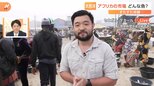 アフリカ最西端 セネガル・ダカール「青空魚市場」には何がある?漁師が小舟で100キロ沖で漁をするワケとは?【すたすた中継】|TBS NEWS DIG
