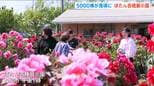 約120品種・5000株のボタンが見ごろに 新潟・五泉市の『ぼたん百種展示園』 |TBS NEWS DIG