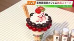 サクランボ30粒以上のった豪華パフェ「まるせい果樹園」直営カフェの絶品スイーツ 福島|TBS NEWS DIG