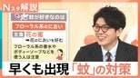 「ぷ～ん」まだ5月なのに…かゆい！早くも出現「蚊」に注意、刺されないために【Nスタ解説】|TBS NEWS DIG