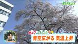 「最高気温は高い所で20度くらいまで上がりそうです」宮城の30秒天気　tbc気象台　4日　|　宮城のニュース│tbc NEWS│tbc東北放送