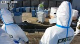 盛岡の養鶏場の防疫措置 殺処分18%終了 今季3例目の鳥インフルエンザ 岩手|TBS NEWS DIG
