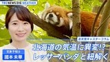 北海道に異変!?~レッサーパンダと紐解く気候変動~【國本未華のお天気コラム】|TBS NEWS DIG