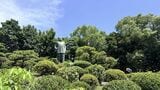 九州南部が梅雨明け　平年より2日早く　去年より16日遅い　鹿児島　|　鹿児島のニュース｜MBC NEWS｜南日本放送