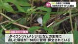 宮崎市の「MRTの森及び好隣梅」 環境省「自然共生サイト」の認定証交付|TBS NEWS DIG