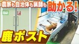 「稲にお米がない」「黒豆は東京ドーム4分の1くらい食べられた」農業被害深刻な町に24時間投函OK『鹿ポスト』...農家も自治体も猟師も「助かっていますわ」|TBS NEWS DIG