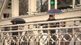 薮川でも-0.9℃! 3月下旬~4月下旬並みの暖かい朝 内陸山沿いはこれからふぶくところも | IBC NEWS | IBC岩手放送
