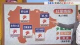 3連休は紅葉狩りのラストチャンス　晴れて日に日に気温が上昇　月曜日が最も暖かく火曜日は雨に　米津龍一気象予報士が解説　山梨|TBS NEWS DIG