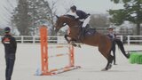東京五輪と同じオランダ産の白砂が新馬場に 馬術競技場障害馬場がリニューアル 山梨・小淵沢町|TBS NEWS DIG