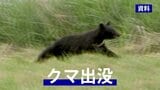 畑で作業をしていた50代女性が正面からクマに襲われ、頭や顔をひっかかれるけが 病院搬送時会話可能で命に別条なし 岩手・岩泉町|TBS NEWS DIG