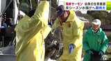 極上の「海峡サーモン」天候に恵まれ今年は大ぶりな幼魚に！　来シーズンの水揚げに期待大！　|　青森のニュース│ATV NEWS│青森テレビ