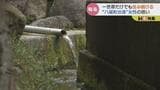 “命の源”…湧き水が頼み 輪島市の孤立集落に残る家族3人 富山市八尾町出身の女性の思いは… | 富山のニュース|天気・防災|チューリップテレビ