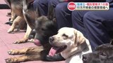 “犬のおまわりさん” 18頭が嘱託警察犬に任命! 行方不明者捜索で活躍 熊本 | 熊本のニュース|RKK NEWS|RKK熊本放送