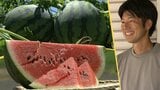 岩手県内有数のスイカの産地で特産の「滝沢スイカ」が収穫最盛期 今年の味は?猛暑や少雨の影響は?|TBS NEWS DIG