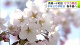 12の観測地点で2025年で一番の暖かさ 青森県内でも各地から「サクラ」開花の便り いずれも平年より「早咲き」に “豪雪”に見舞われた北国でようやく『春本番』|TBS NEWS DIG