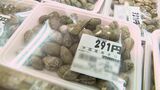 “食の信頼”に激震 CBCの取材で発覚したアサリの産地偽装問題から1年…アサリを取り巻く現状を徹底取材【報道のチカラ】 | 名古屋・愛知・岐阜・三重のニュース【CBC news】 | CBC web
