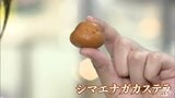 食欲の秋 北海道の海の幸・グルメが一堂に シマエナガカステラや若鶏半身揚げなどなど 北海道物産展にぎわう 青森市 | 青森のニュース│ATV NEWS│青森テレビ