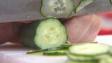 調理を学ぶ高校生によるキュウリの輪切り大会 「制限時間5分で素早く均等に」 大分 | 大分のニュース|OBS NEWS|大分放送