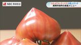 食卓の日 長崎市役所食堂にフルーティトマトランチ　|　長崎のニュース | 天気 | NBC長崎放送