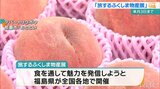 7年ぶりに開催!旅するふくしま物産展 デパートリウボウで10月3日まで|TBS NEWS DIG