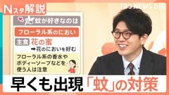 「ぷ～ん」まだ5月なのに…かゆい！早くも出現「蚊」に注意、刺されないために【Nスタ解説】| TBS CROSS DIG with Bloomberg