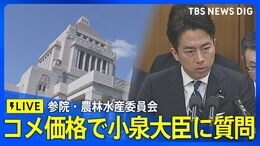【LIVE】コメ価格めぐり小泉農水大臣に質問 参院・農林水産委員会(2025年5月29日)|TBS NEWS DIG