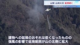 強風で山の北側に延焼範囲拡大　山梨・上野原市の山林火災 「きのうより大丈夫かな」消火活動進み建物への延焼のおそれ低くなる|TBS NEWS DIG