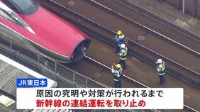 連結器トラブルで新幹線の連結運転を当面取り止め|TBS NEWS DIG