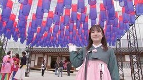 「日韓交流おまつり」都内で開催　毎年恒例　韓国の「食」や「ものづくり」体験も|TBS NEWS DIG