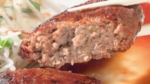 ジュワーッと肉汁あふれるハンバーグに、フルーティーなワイン！北海道白老町・千歳市の魅力|TBS NEWS DIG