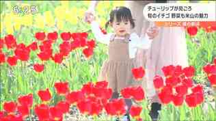 10万株のチューリップに旬の野菜や果物も「道の駅米山」　宮城・登米市　|　宮城のニュース│tbc NEWS│tbc東北放送