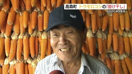 美しい」6000本の地とうきび 納屋をオレンジ色に染める 熊本県高森町