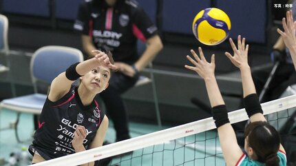 SVリーグ女子開幕 ！ ヴィクトリーナ姫路、昨季女王の大阪MVに快勝 新
