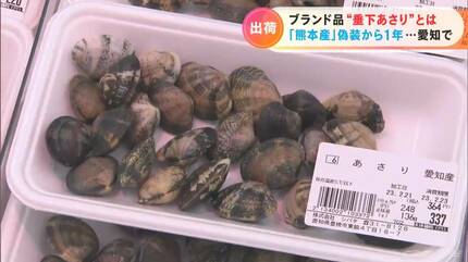 地域ブランド「渥美垂下あさり」の出荷が始まる 日本一の漁獲量誇る