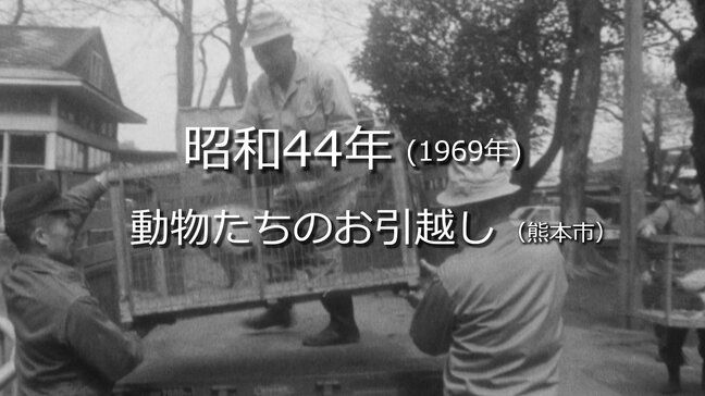 動物たちのお引越し【昭和44年・1969年】~RKKニュースミュージアム~ 熊本|TBS NEWS DIG