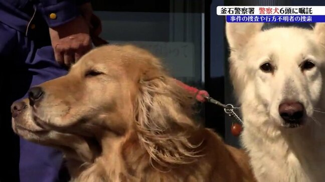 事件の捜査や行方不明者の捜索などで活躍する嘱託警察犬として　釜石警察署が6頭に嘱託状交付　岩手|TBS NEWS DIG
